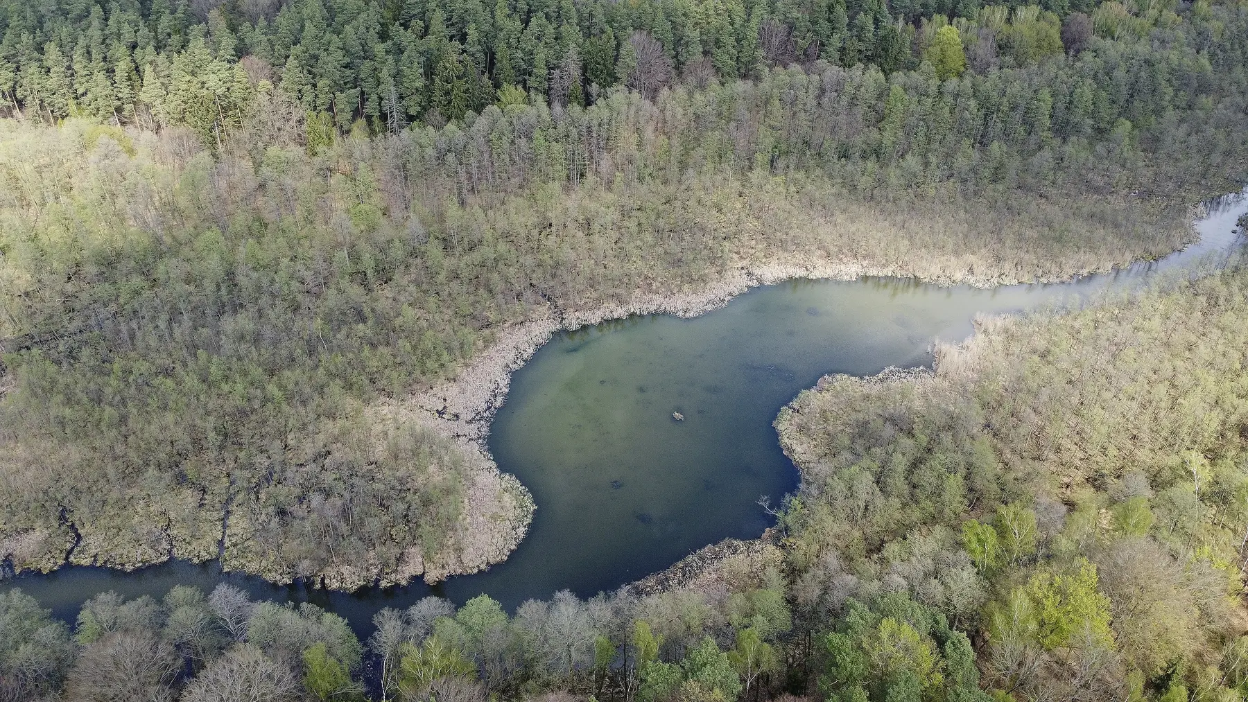Rezerwat przyrody Jezioro Iłgi