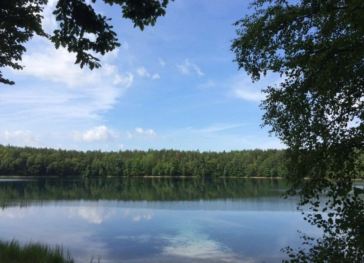 Jezioro Jasne - przejrzysta woda i leśny brzeg